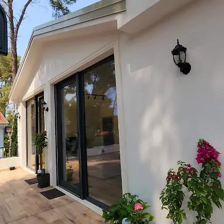 Pinetrees Penthouse @ The Ferienhaus Golem (Tirana)